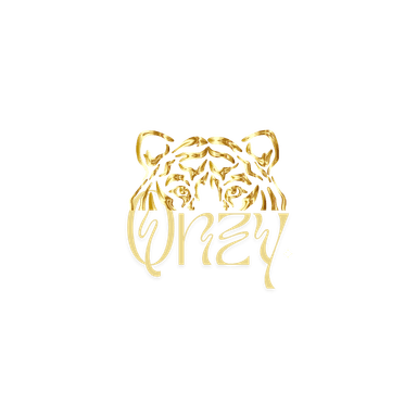 QNZY logo